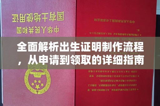 黎城全面解析出生证明制作流程，从申请到领取的详细指南